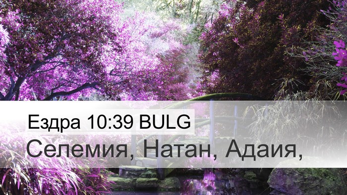 Ездра 10:39 BULG Bible Verse Image