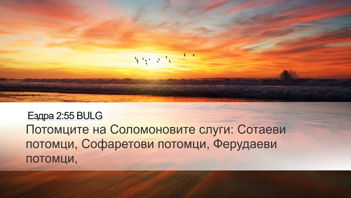 Ездра 2:55 BULG Bible Verse Image