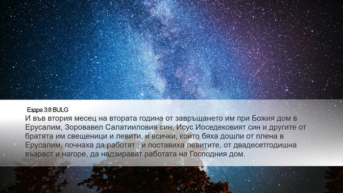 Ездра 3:8 BULG Bible Verse Image