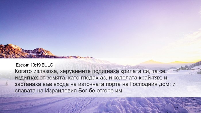 Езекил 10:19 BULG Bible Verse Image