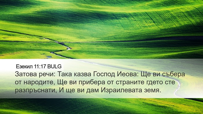 Езекил 11:17 BULG Bible Verse Image