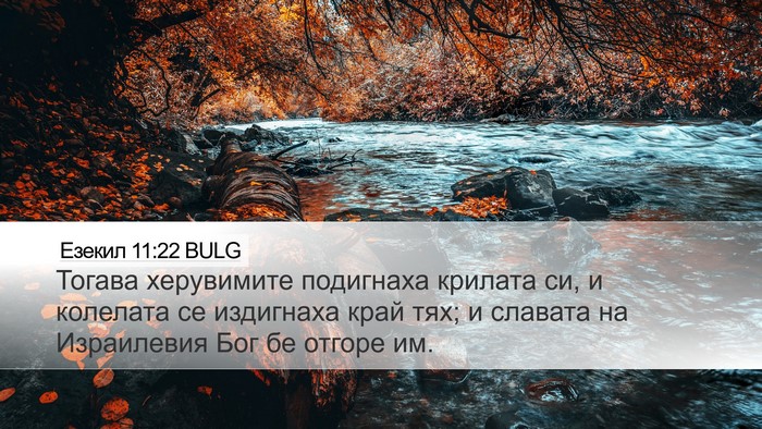 Езекил 11:22 BULG Bible Verse Image