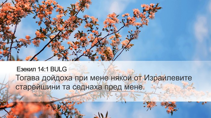 Езекил 14:1 BULG Bible Verse Image