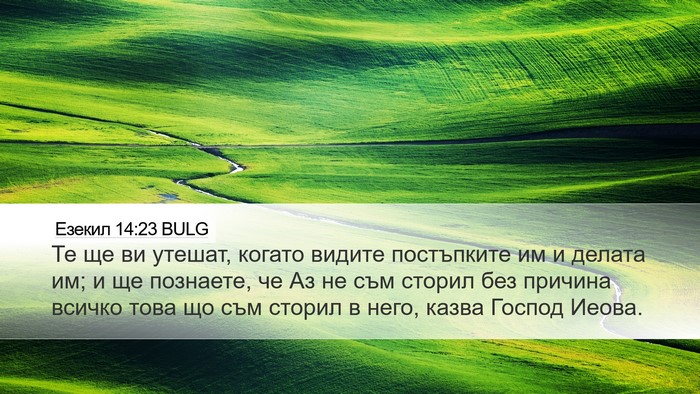 Езекил 14:23 BULG Bible Verse Image