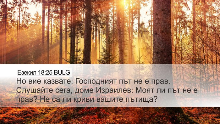 Езекил 18:25 BULG Bible Verse Image