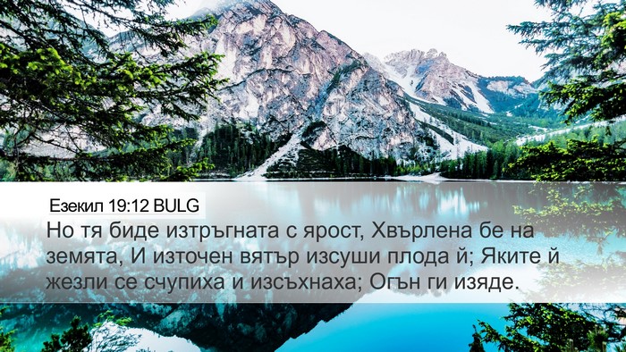 Езекил 19:12 BULG Bible Verse Image