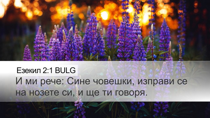 Езекил 2:1 BULG Desktop Wallpaper - И ми рече: Сине човешки, - Desktop Bible Verse Wallpaper