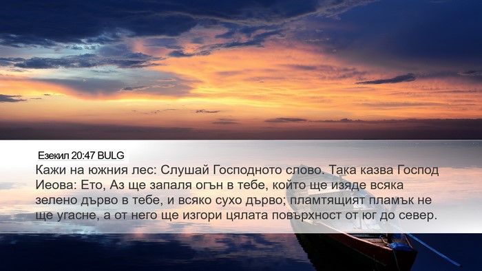 Езекил 20:47 BULG Bible Verse Image