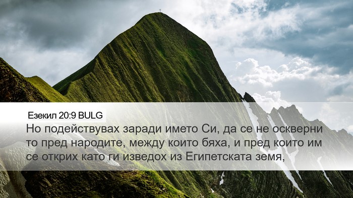 Езекил 20:9 BULG Bible Verse Image