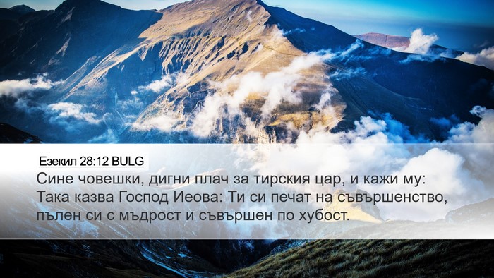 Езекил 28:12 BULG Bible Verse Image