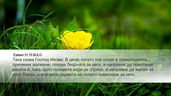 Езекил 31:15 BULG Bible Verse Image