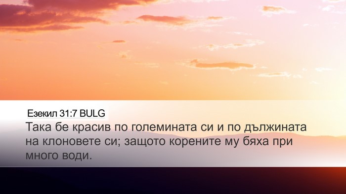 Езекил 31:7 BULG Desktop Wallpaper - Така бе красив по - Desktop Bible Verse Wallpaper