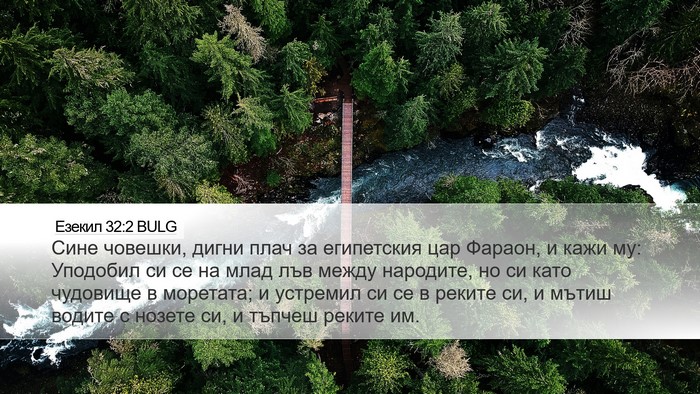 Езекил 32:2 BULG Bible Verse Image