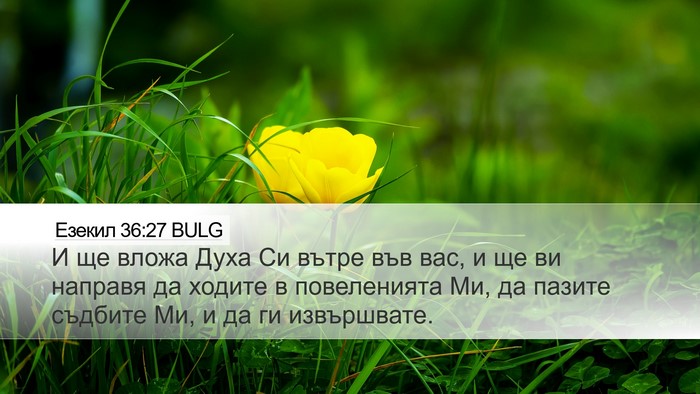 Езекил 36:27 BULG Bible Verse Image