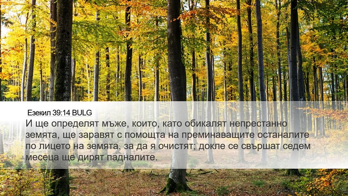 Езекил 39:14 BULG Bible Verse Image