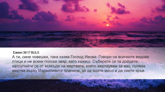 Езекил 39:17 BULG Bible Verse Image