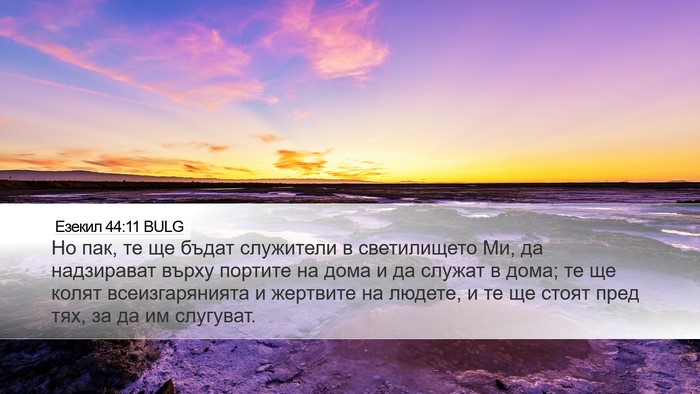 Езекил 44:11 BULG Bible Verse Image
