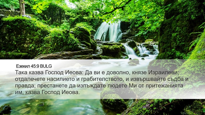 Езекил 45:9 BULG Bible Verse Image