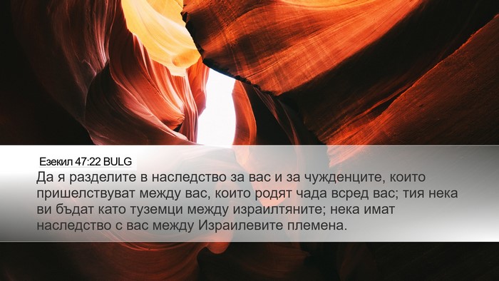 Езекил 47:22 BULG Bible Verse Image