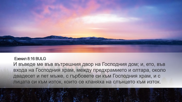 Езекил 8:16 BULG Bible Verse Image