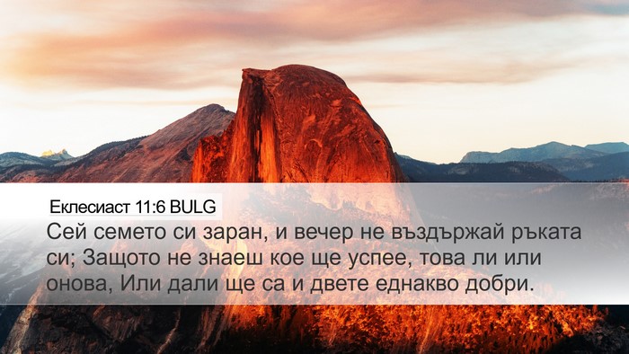 Еклесиаст 11:6 BULG Bible Verse Image