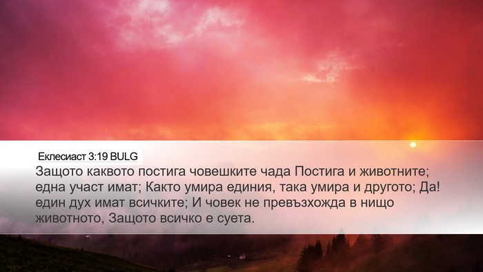 Еклесиаст 3:19 BULG Bible Verse Image