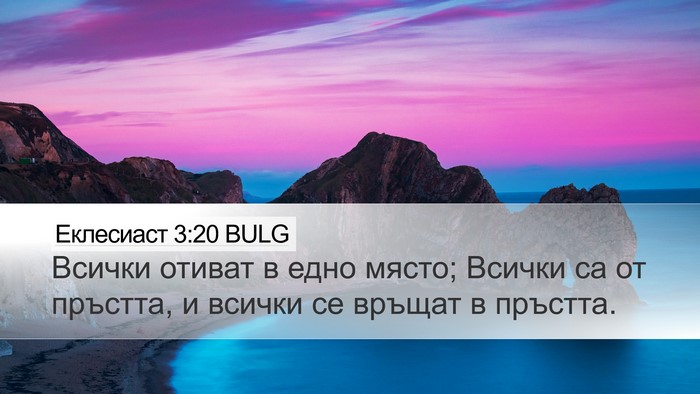 Еклесиаст 3:20 BULG Bible Verse Image