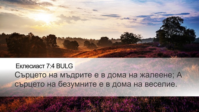 Еклесиаст 7:4 BULG Desktop Wallpaper - Сърцето на мъдрите е в дома - Desktop Bible Verse Wallpaper