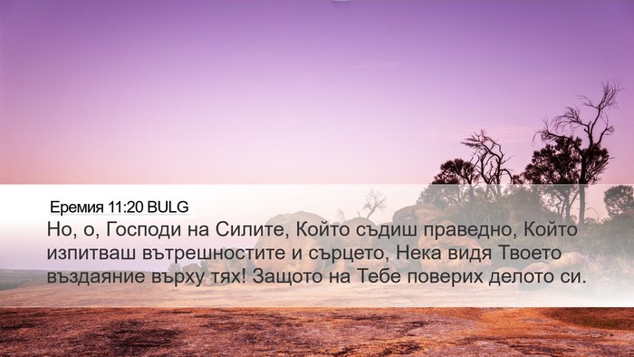 Еремия 11:20 BULG Bible Verse Image