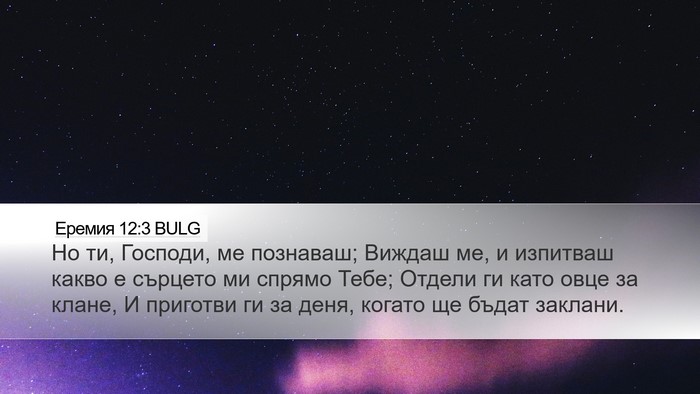 Еремия 12:3 BULG Bible Verse Image