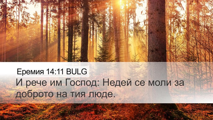 Еремия 14:11 BULG Bible Verse Image