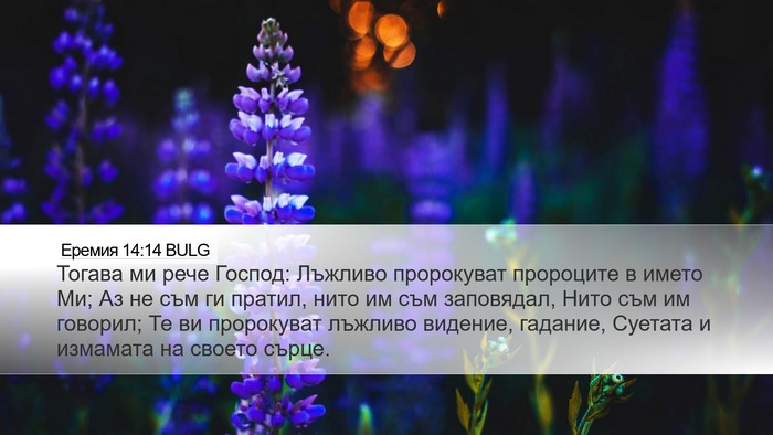 Еремия 14:14 BULG Bible Verse Image