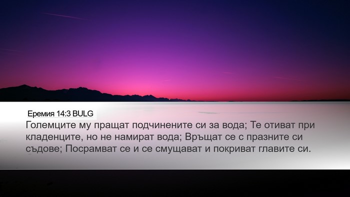 Еремия 14:3 BULG Bible Verse Image