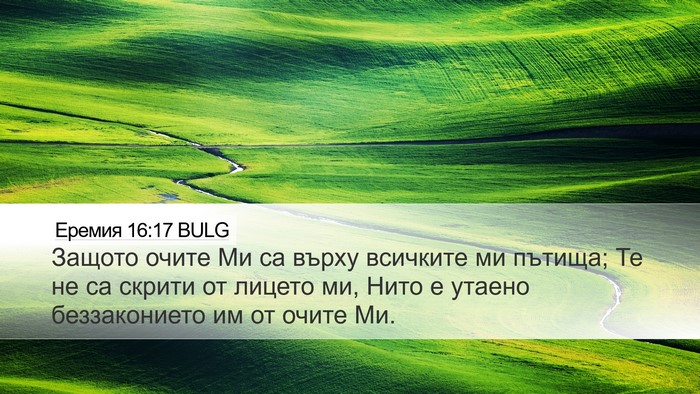 Еремия 16:17 BULG Bible Verse Image