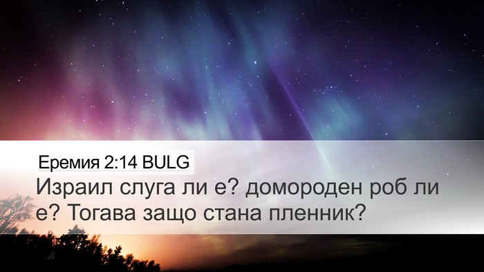 Еремия 2:14 BULG Desktop Wallpaper - Израил слуга ли е? - Desktop Bible Verse Wallpaper