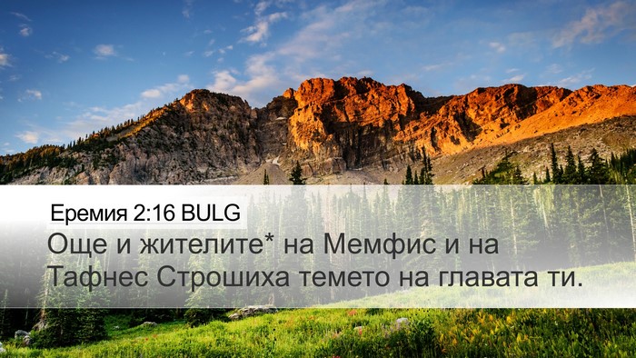 Еремия 2:16 BULG Desktop Wallpaper - Още и жителите* на Мемфис и - Desktop Bible Verse Wallpaper