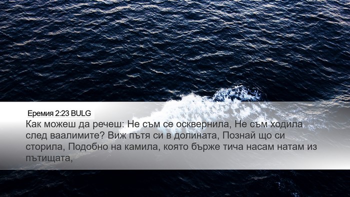Еремия 2:23 BULG Bible Verse Image