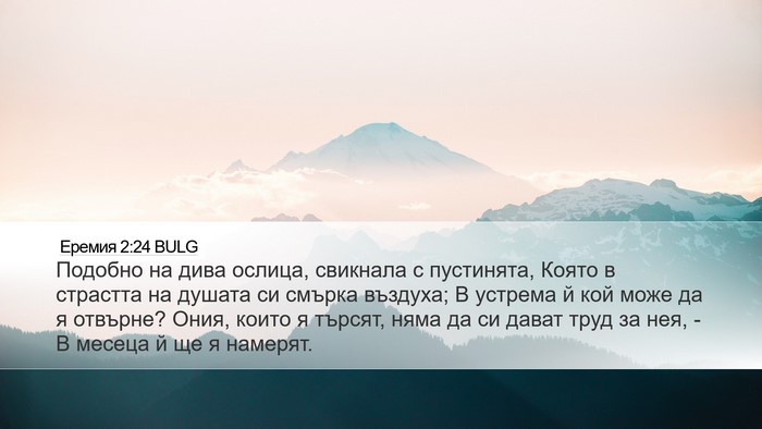 Еремия 2:24 BULG Bible Verse Image