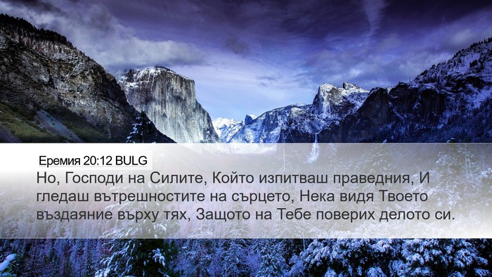 Еремия 20:12 BULG Bible Verse Image