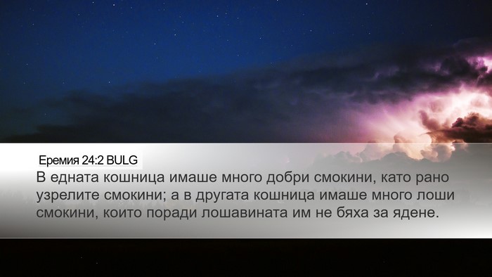 Еремия 24:2 BULG Bible Verse Image