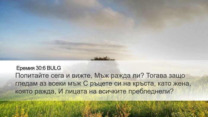Еремия 30:6 BULG Bible Verse Image