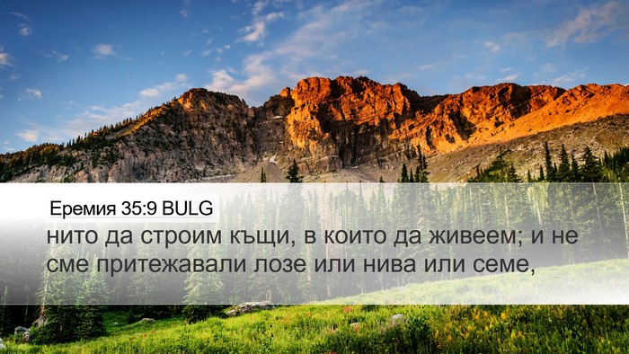Еремия 35:9 BULG Desktop Wallpaper - нито да строим къщи, в - Desktop Bible Verse Wallpaper
