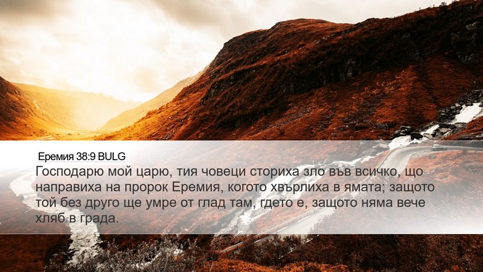 Еремия 38:9 BULG Bible Verse Image