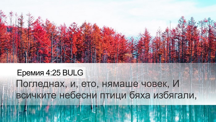 Еремия 4:25 BULG Bible Verse Image