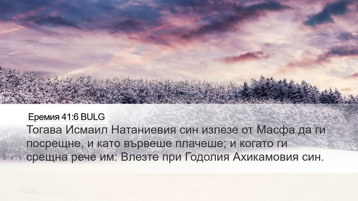 Еремия 41:6 BULG Bible Verse Image