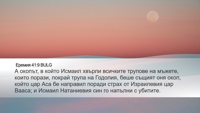 Еремия 41:9 BULG Bible Verse Image