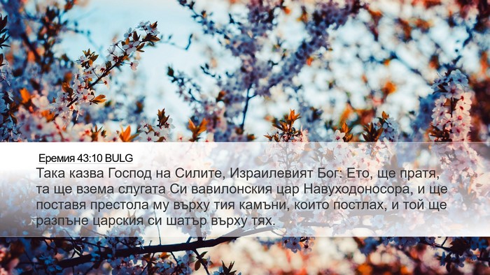 Еремия 43:10 BULG Bible Verse Image