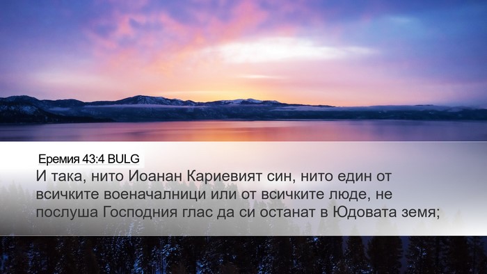 Еремия 43:4 BULG Bible Verse Image