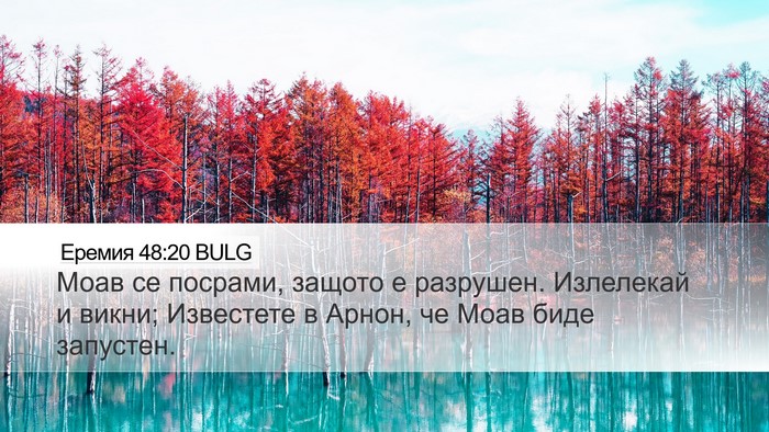 Еремия 48:20 BULG Bible Verse Image
