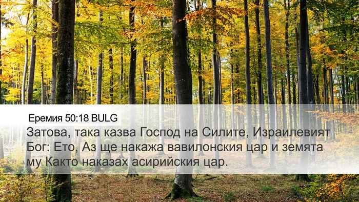 Еремия 50:18 BULG Bible Verse Image